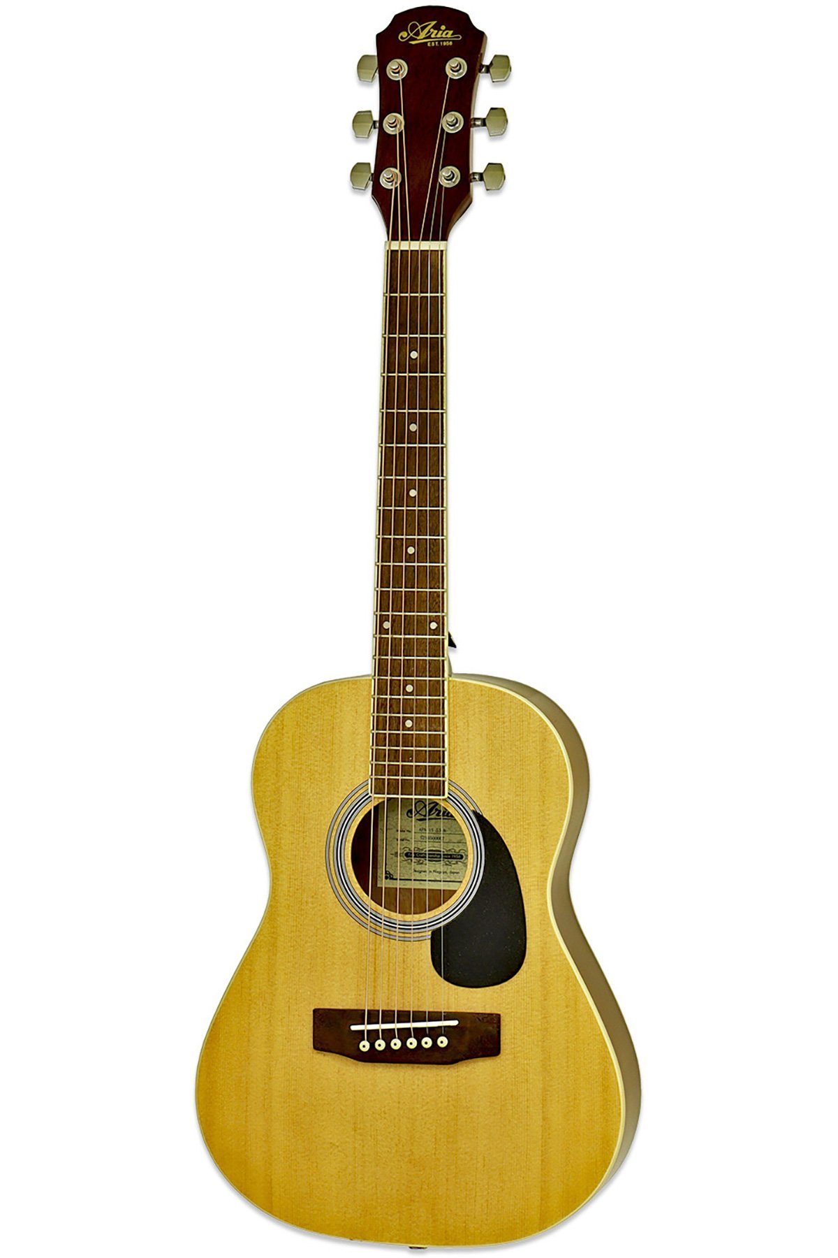 Aria AFN1553N Akustik Gitar