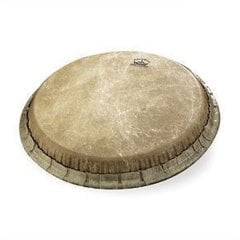 Remo 11.75'' Conga Derisi