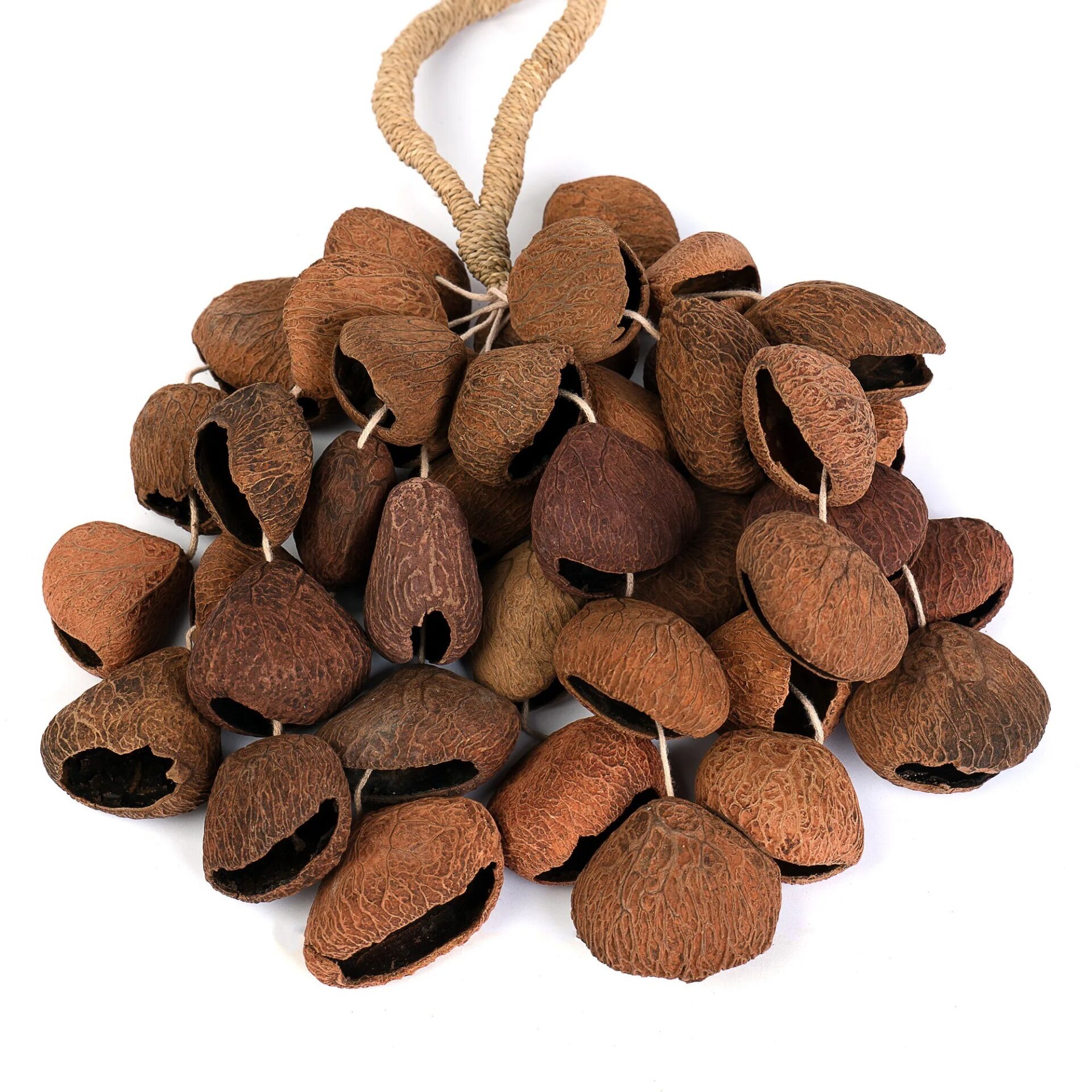 Sela Seed Shaker (4 Sıra) Pangi (SESDS3)