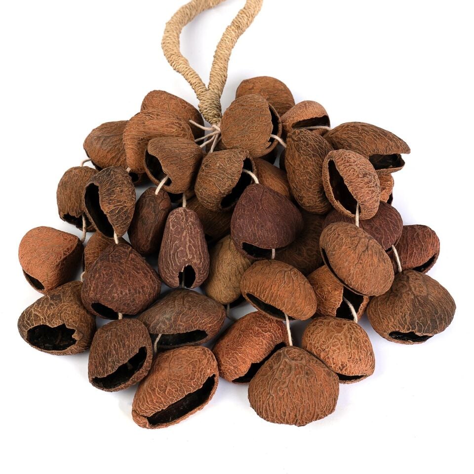 Sela Seed Shaker (4 Sıra) Pangi (SESDS3)