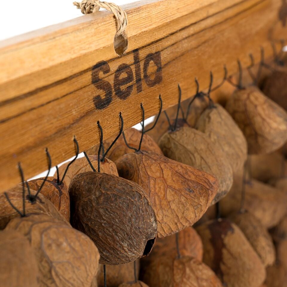 Sela Seed Chime Pangi (SESDC3)