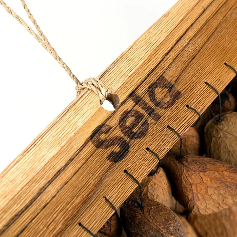 Sela Seed Chime Pangi (SESDC3)