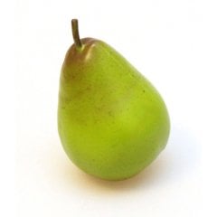 Nino 536PEAR Armut Shaker