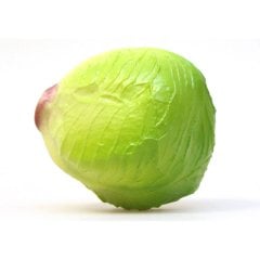 Nino 536CABBAGE Lahana Shaker