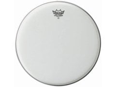 Remo Batter Tom Derisi