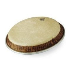 Remo Conga Derisi