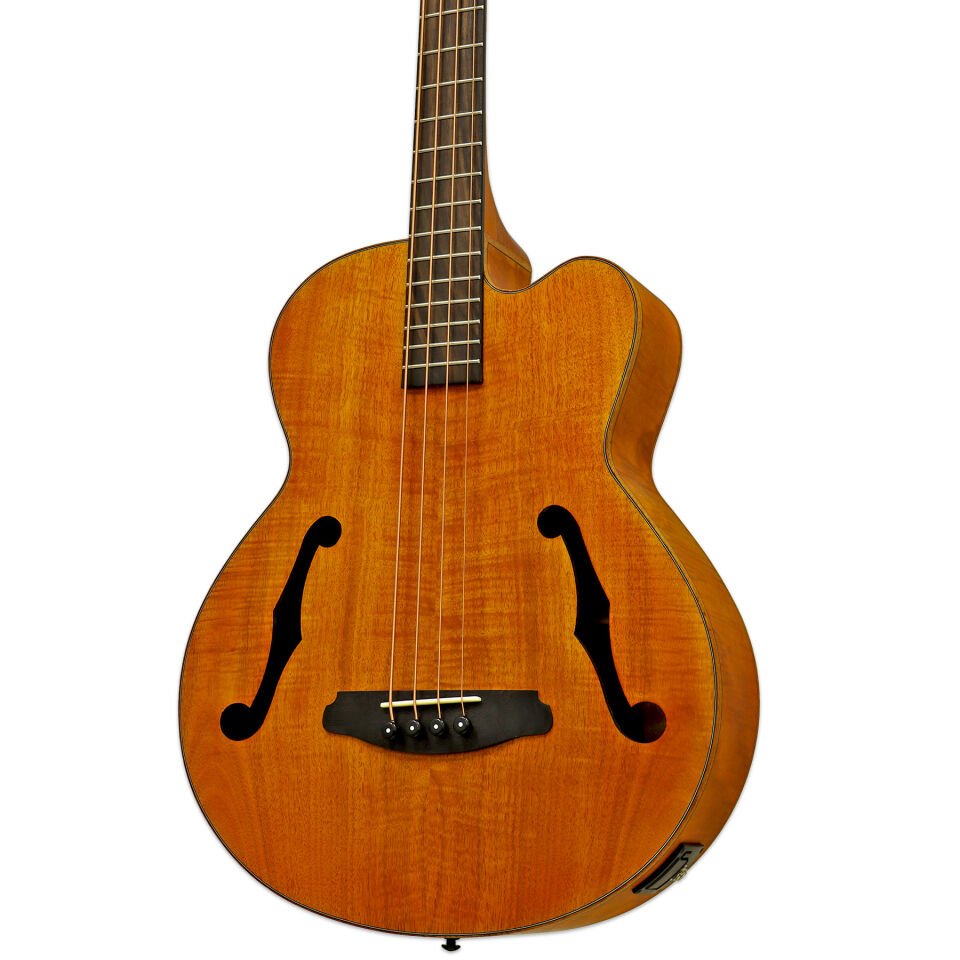 Aria FEBF2MSTBR Akustik Bas Gitar