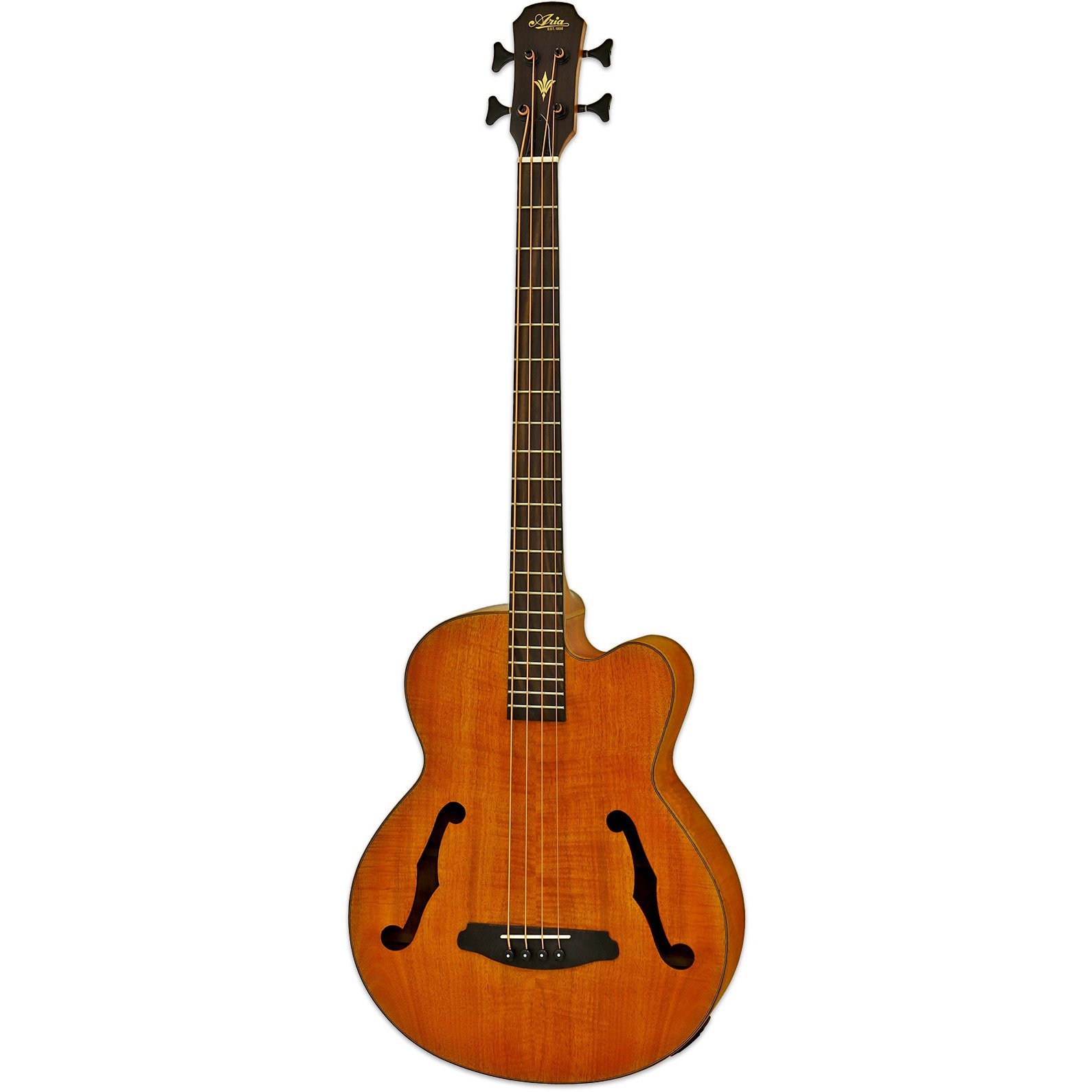 Aria FEBF2MSTBR Akustik Bas Gitar
