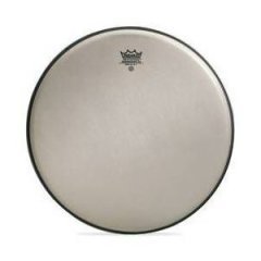Remo 13'' Renaissance Ambassador Tom Derisi
