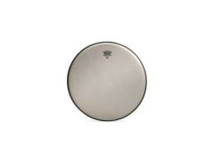 Remo 12'' Renaissance Ambassador Tom Derisi