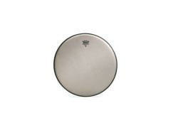 Remo 12'' Renaissance Ambassador Tom Derisi