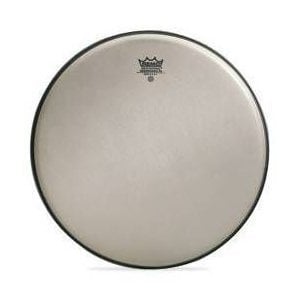 Remo 12'' Renaissance Ambassador Tom Derisi