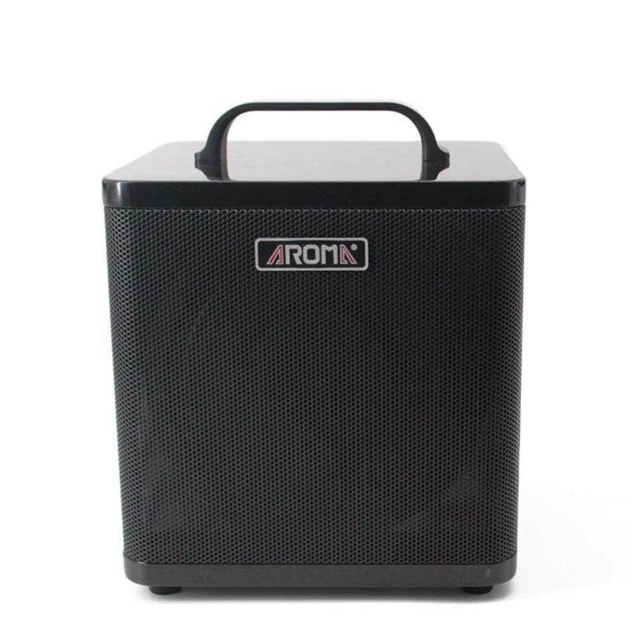 Aroma AG40A Akustik Gitar Amfisi