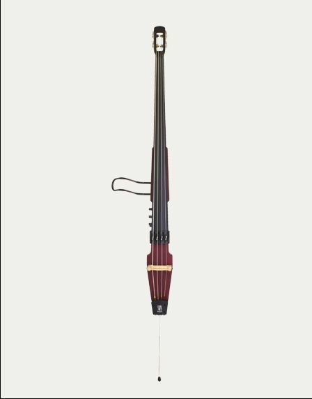 Aria SWBLITEBWR Upright Bass