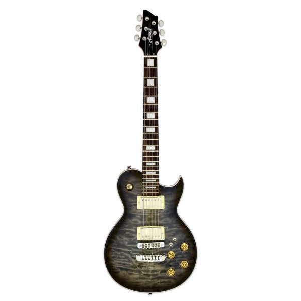 アリア　プロ2　PE-480 Aria Pro II PE480SBKB Elektro Gitar