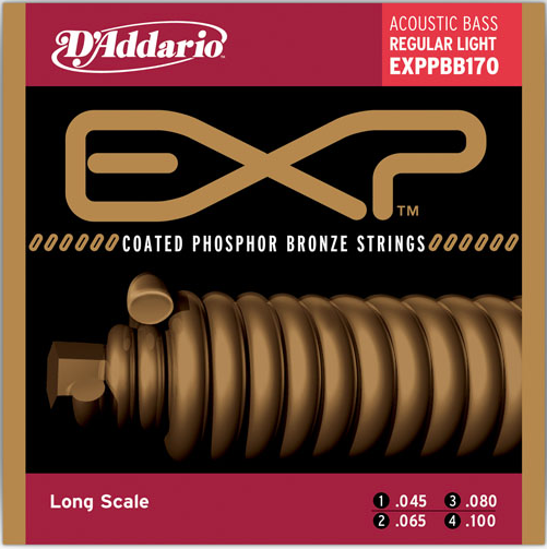 Daddario EXPPBB170 Akustik Tel Set Bass EXP 45100 LNG