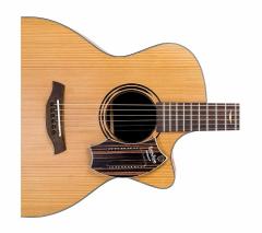 Schlagwerk SJ110M SamJam  Gitar Trampet Makassar Design