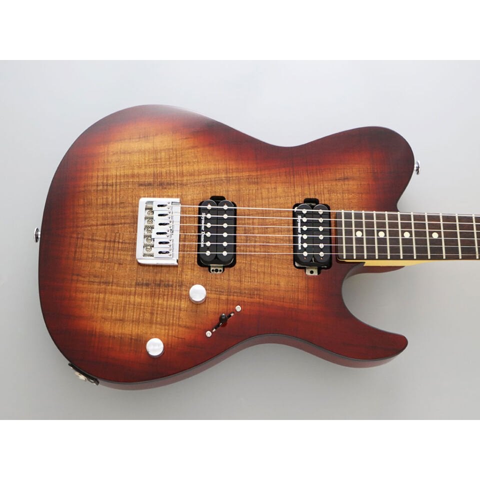 Fujigen Iliad Elektro Gitar JIL2DUEW2RKNB