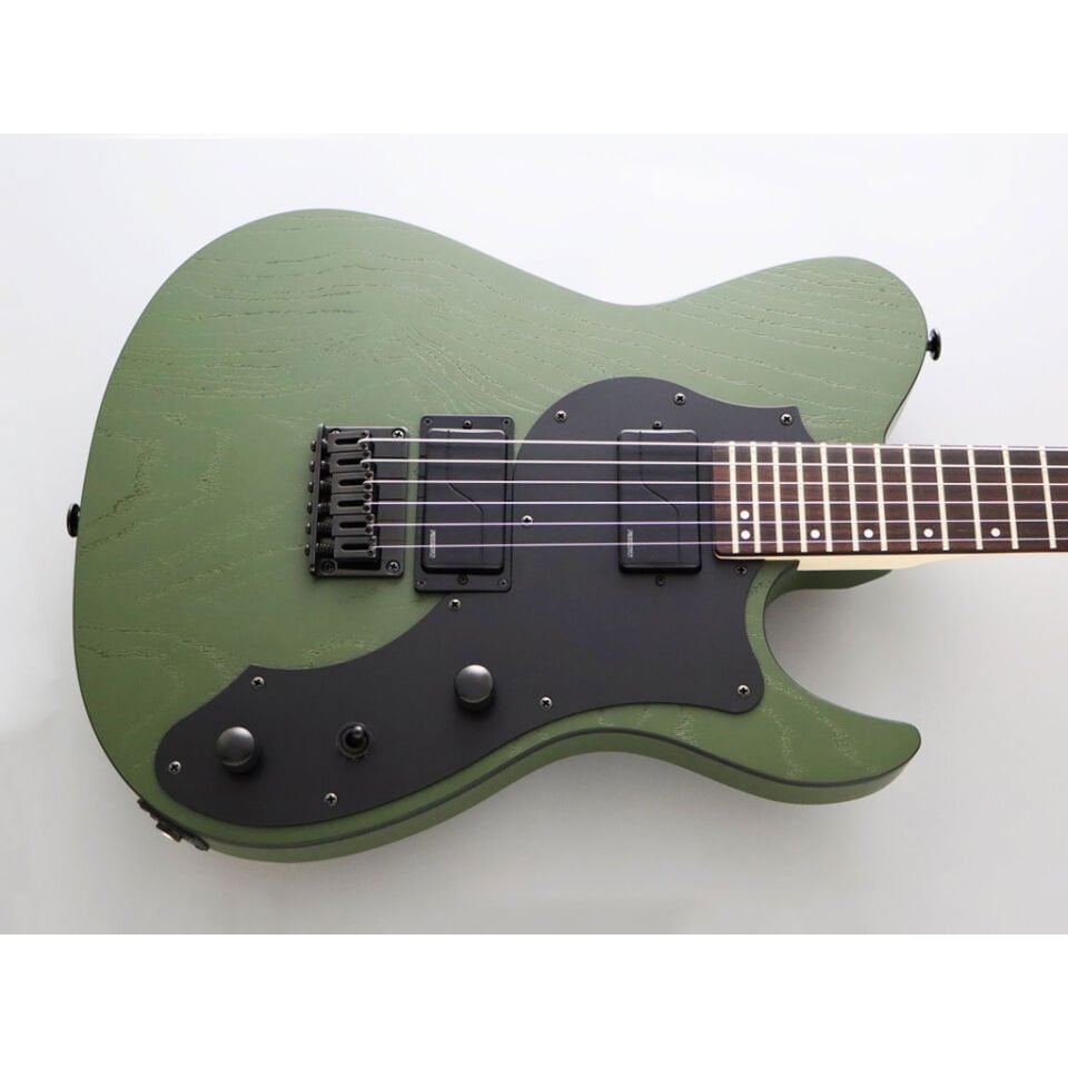 Fujigen Iliad Elektro Gitar JIL3ASHDE664ROPOG