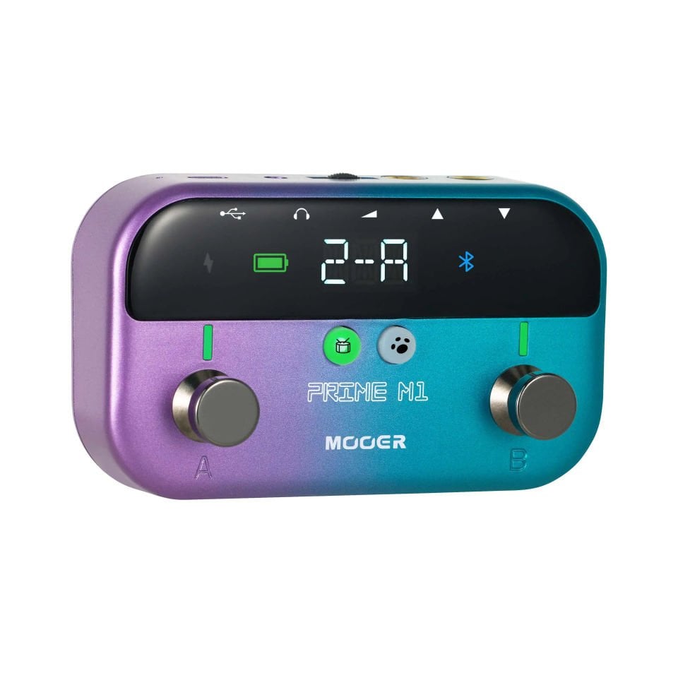 Mooer M1 Gitar Efekt Pedalı