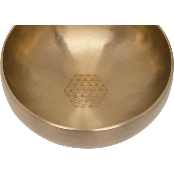 Meinl SBSVF1000 Tibet Kasesi (SBSFOL1000)