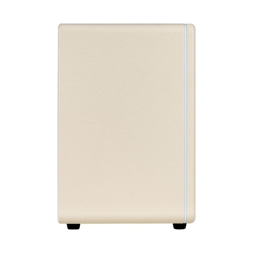 Mooer Hornet DH30IWH 30W Gitar Amfisi (Efekt+Bluetooth)