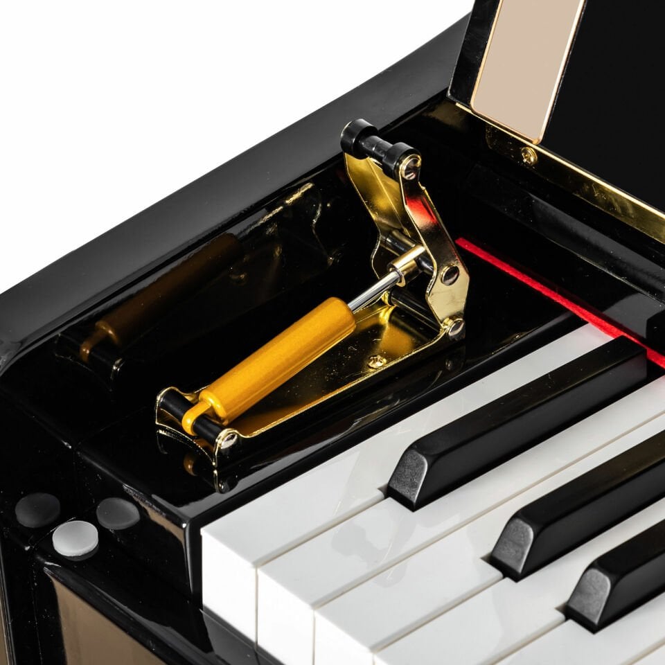 Moon River Dijital Piyano JDP300POLISHBK