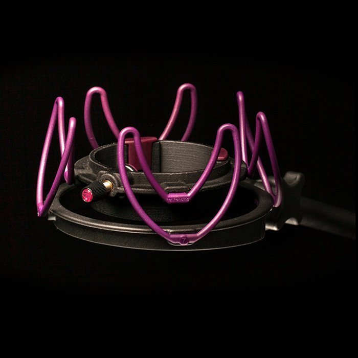 Aston Rycote Lyre