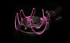 Aston Rycote Lyre