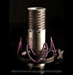 Aston Rycote Lyre