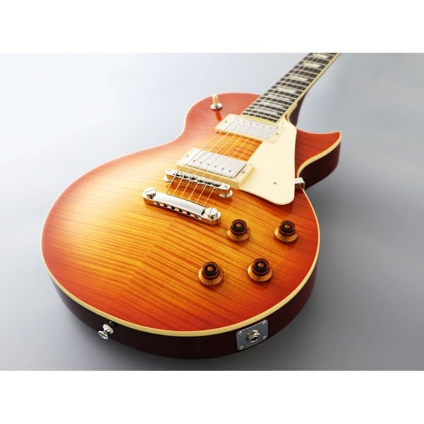 Fujigen Neo Classic Elektro Gitar NLS10RFM/FCB