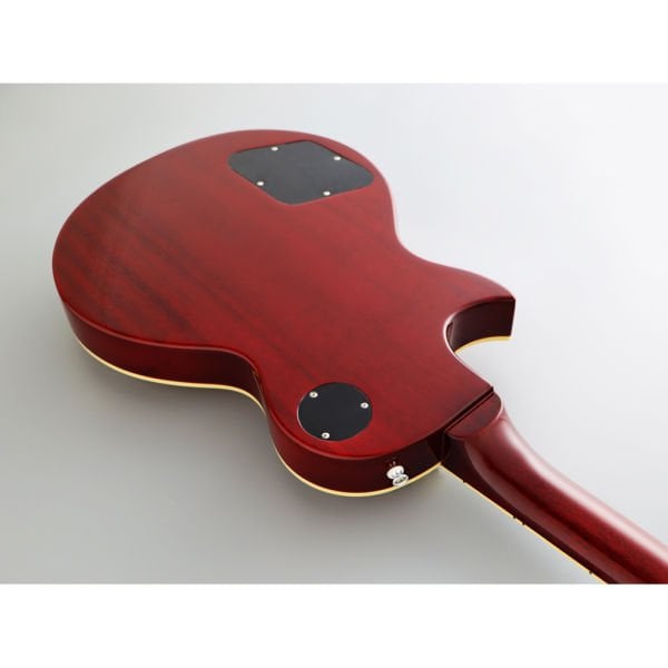 Fujigen Neo Classic Elektro Gitar NLS10RFM/FCB
