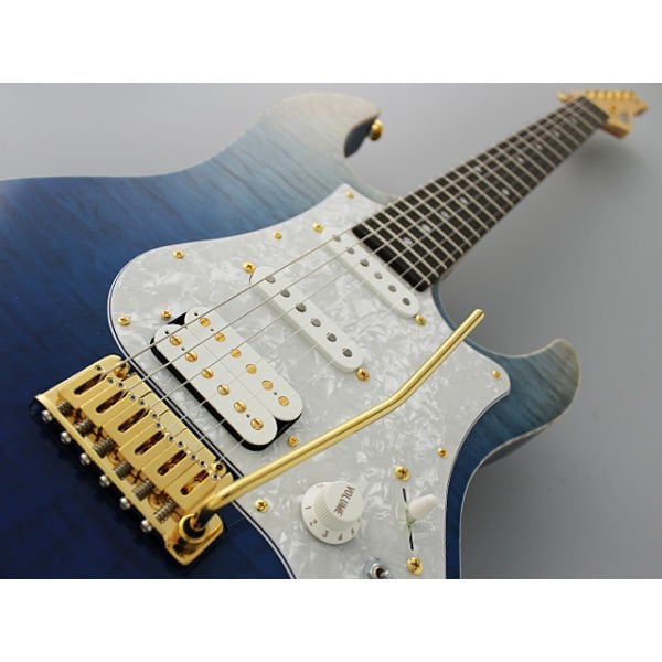 Fujigen Odyssey Elektro Gitar EOS-FM-R/NBG