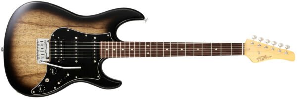Fujigen Odyssey Elektro Gitar JOS2TDEW1R/DMT