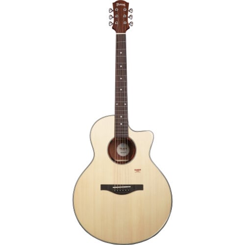 Trumon 150TFM1 Elektro Akustik Gitar
