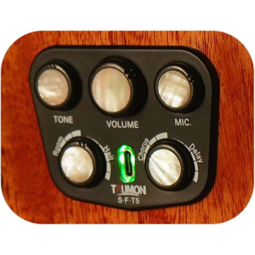 Trumon Wing 980TF-S5 Elektro Akustik Gitar