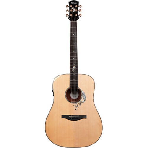 Trumon Wing 950TF-S5 Elektro Akustik Gitar