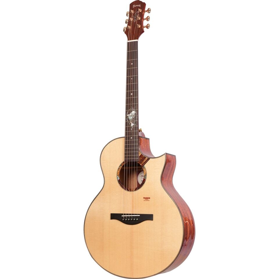 Trumon Dolphin 1955 TFL-M1Pro Elektro Akustik Gitar