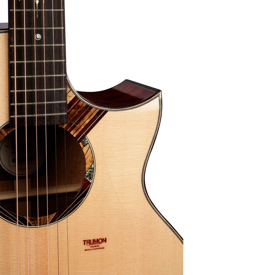 Trumon Dolphin 1955 TFL-M1Pro Elektro Akustik Gitar