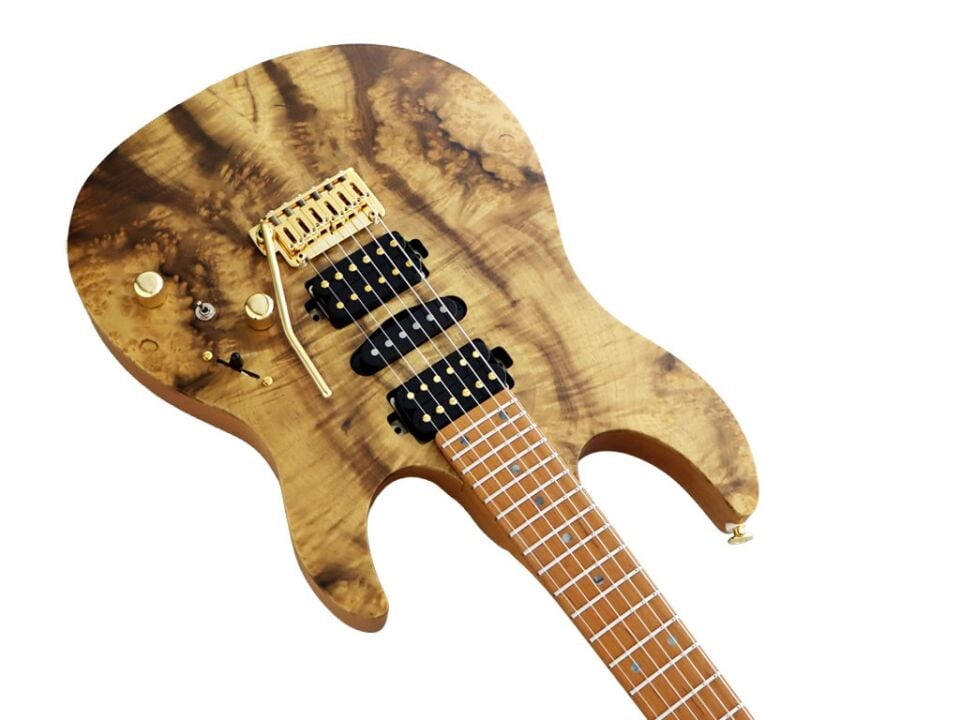 Fujigen EOS2 Odyssey Elektro Gitar EOS2DU24HSHEW4RMMNF