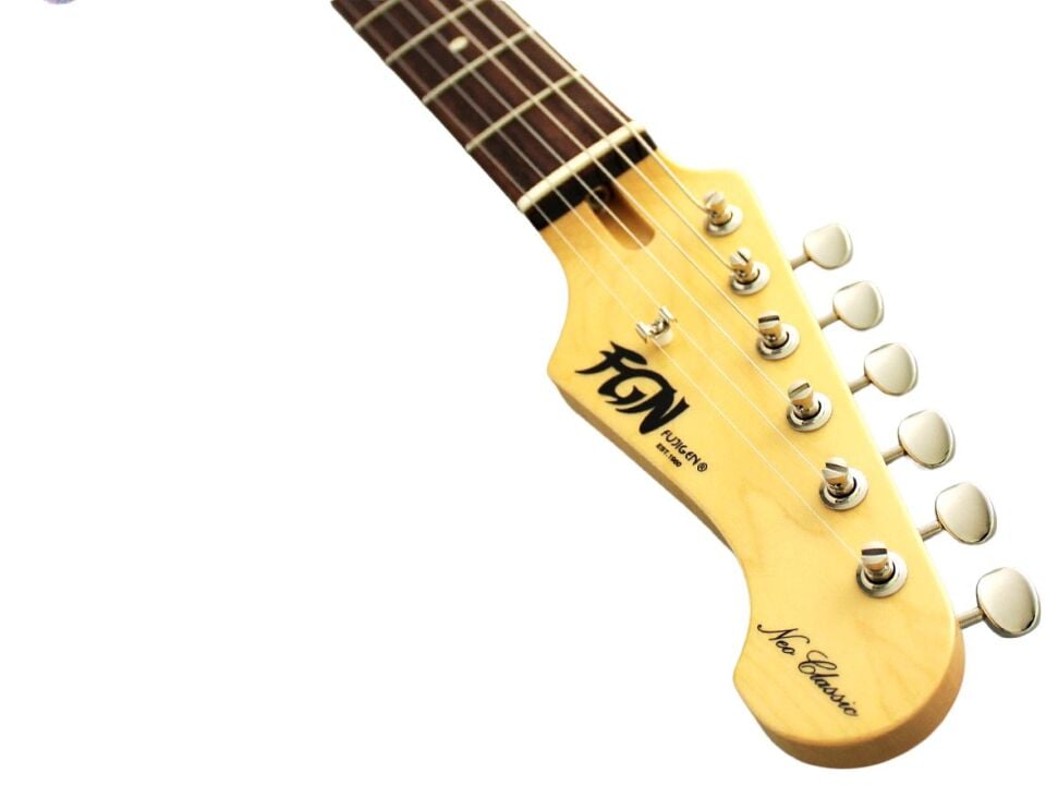 Fujigen Telecaster Elektro Gitar NTE210RAHSBB