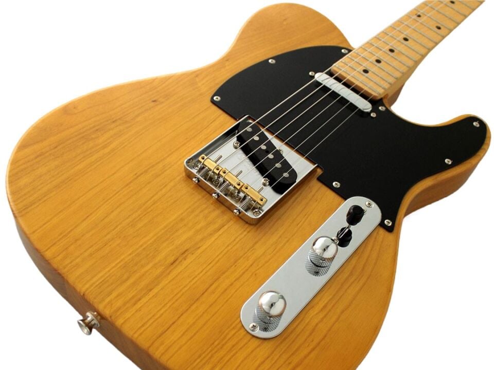 Fujigen Telecaster Elektro Gitar NTE100MAHVNT
