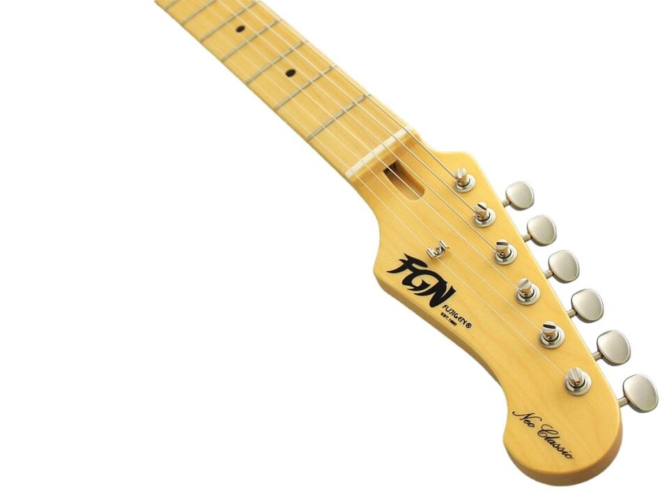 Fujigen Telecaster Elektro Gitar NTE100MAHVNT