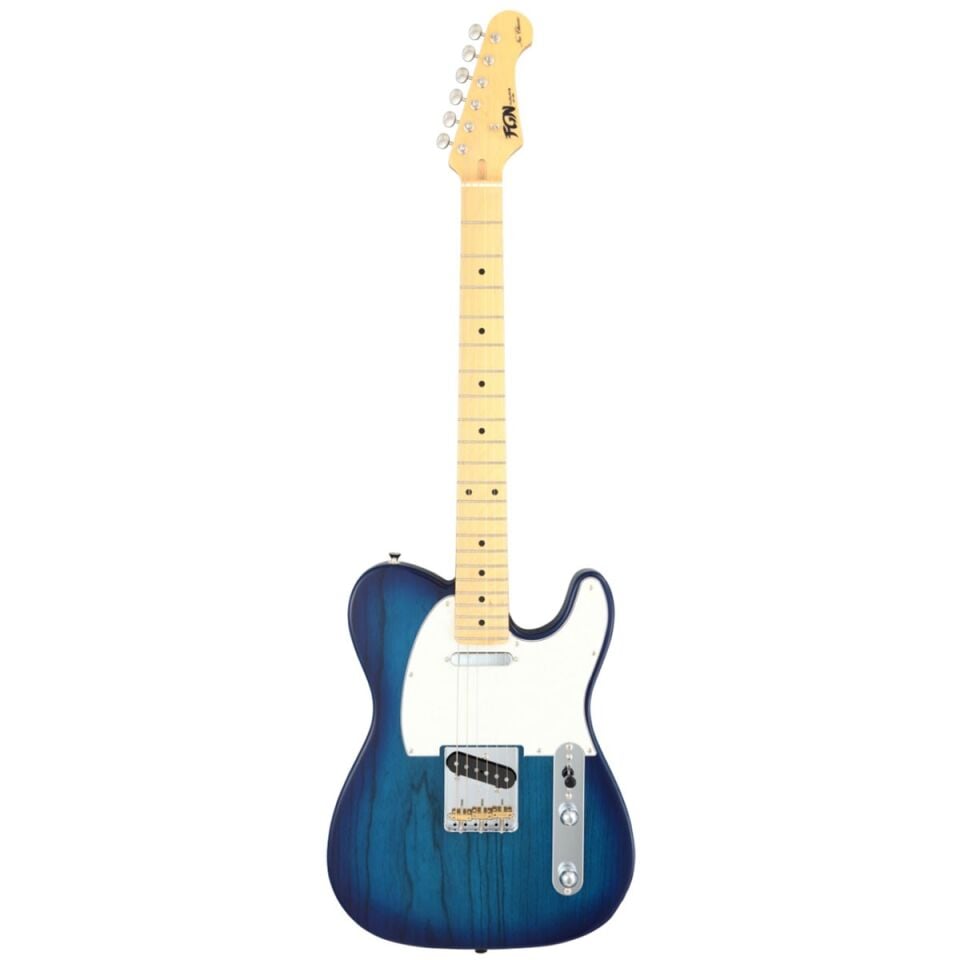 Fujigen Telecaster Elektro Gitar NTE100MAHSBB