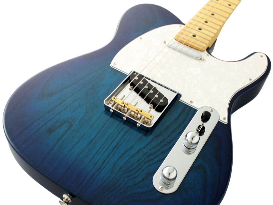 Fujigen Telecaster Elektro Gitar NTE100MAHSBB