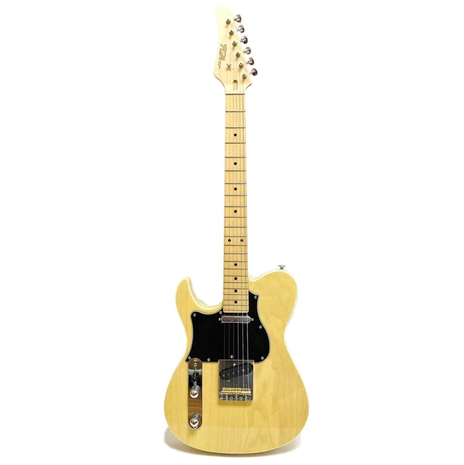 Fujigen Elektro Gitar JIL2ASHML/OWB + Gigbag