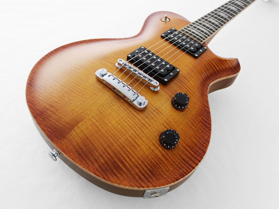 Fujigen EFLFMVV Elektro Gitar
