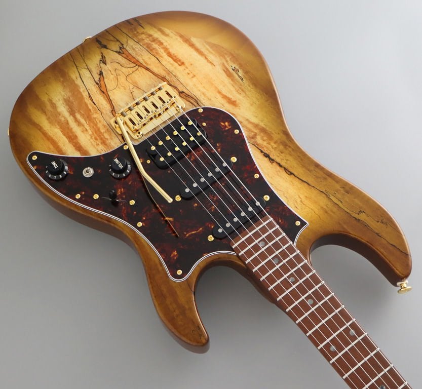 Fujigen Odyssey Elektro Gitar EOS2EW1RM/HCB