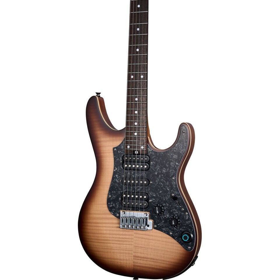 GTRS SL810BWBR Elektro Gitar (Entegre Efekt Prosesörlü)